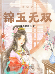 清穿之锦玉无双 小说