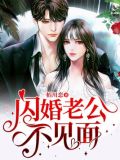 闪婚老公不见面