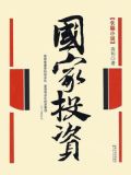 国家投资
