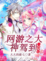 网游:大神驾到 小说