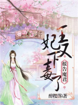 王妃又下毒了TXT免费下载
