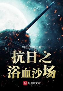 抗日之浴血沙场 小说