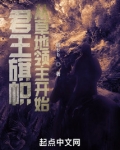 君王旗帜:从草地领主开始