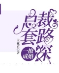 一撩成婚：总裁套路深