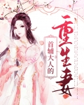 首辅大人的重生妻
