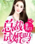 第一名门:总裁,试婚吗