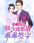 豪门宠婚:韩少,离婚请签字