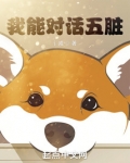 我能对话五脏