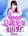 总裁宠妻很狂野