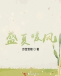 盛夏暖风