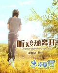 听见夏天的离开