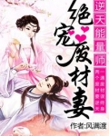 逆天能量师:绝宠废材妻